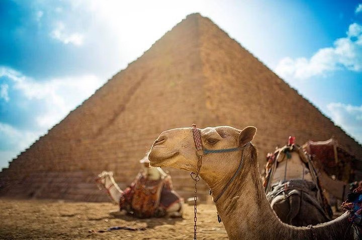 You Should See Things when visiting Japan